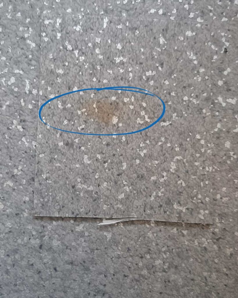 Subit przenika przez wykładzinę, tworząc ciemniejsze plamy. Zdjęcie do wpisu o usuwaniu subitu. Zbliżenie.